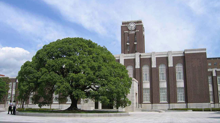 马里恩学区